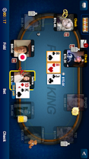 Texas Holdem Poker Pro 1