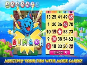Bingo Blitz 1