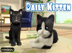 Daily Kitten 2