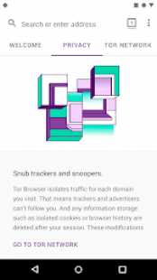 Tor Browser 2