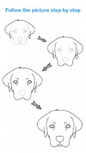 How To Draw Animal 3
