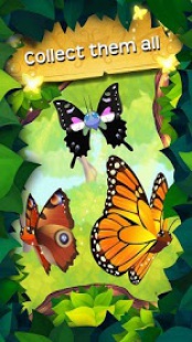 Flutter : Butterfly Sanctuary 2