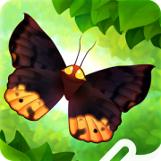 Flutter : Butterfly Sanctuary