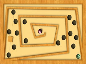 Labyrinthe Pro 1