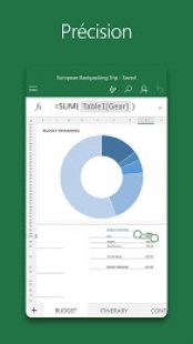 Microsoft Excel 3