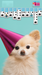 Spider Solitaire 2