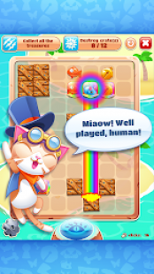 Smart Cookie Cat 2