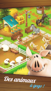 Hay Day 3