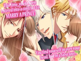 The Cinderella Contract 1