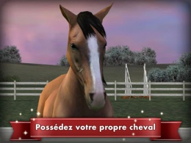 My Horse 1