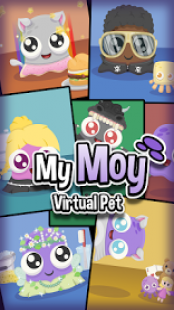 My Moy 1