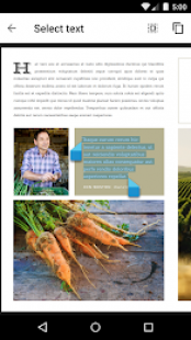 Google PDF Viewer 2