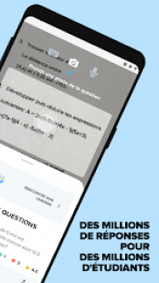 Brainly 2