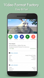 Convertisseur Audio et Video 1