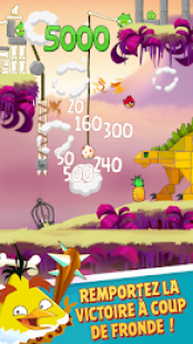 Angry Birds Classic 2