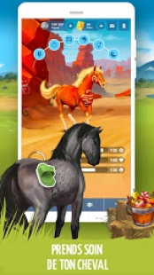 Equideow 2
