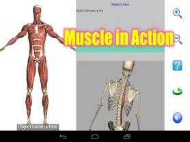 Visual Anatomy Free 1