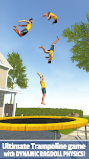 Flip Master 1