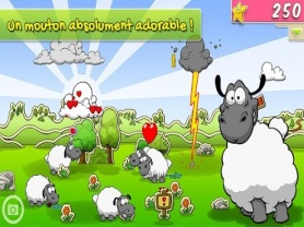 Clouds & Sheep 1