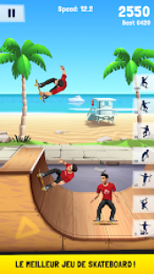 Flip Skater 1