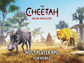 The Cheetah 1