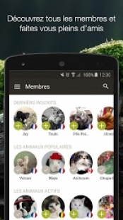 Yummypets 1