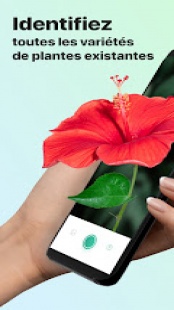 PictureThis Plante Identifier 1