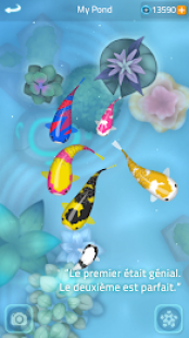 Zen Koi 2 3