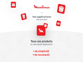 Moulinex 2