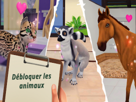 Pet World 1