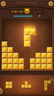 Wood Block Puzzle 1