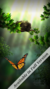 Season Zen Free 3