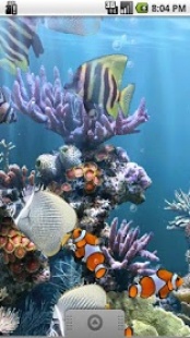 Le Vritable Aquarium 1