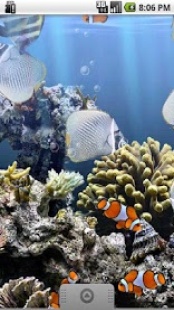 Le Vritable Aquarium 2