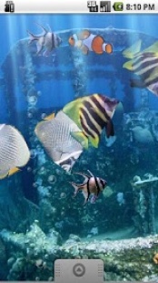 Le Vritable Aquarium 3