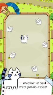 Cat Evolution 1