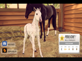 Rival Stars Horse Racing 2