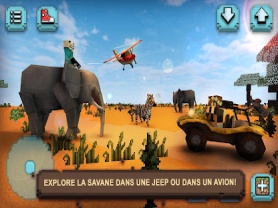 Safari Savane : Animaux Carrs 1