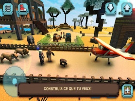 Safari Savane : Animaux Carrs 2