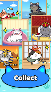 Cat Condo 2 2