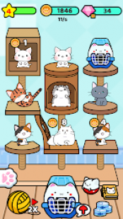 Cat Condo 2 3