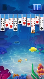 Solitaire Spider Ocean Aquarium 2