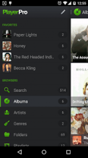 PlayerPro Music Player 3