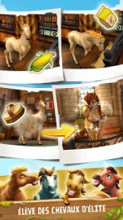 Horse Haven World Adventures 3
