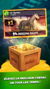 Horse Racing Manager 2025 3