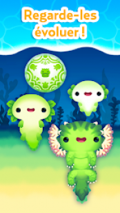 Axolochi 3