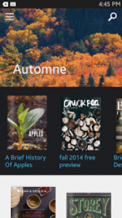 Issuu 2