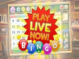 Bingo Bango 1