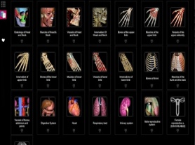 Anatomy Learning 1