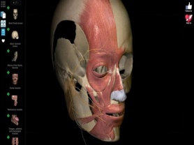 Anatomy Learning 2